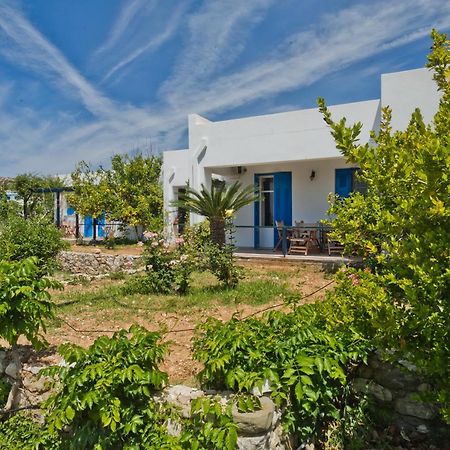 Pleiades Apartments Lefkos  Extérieur photo