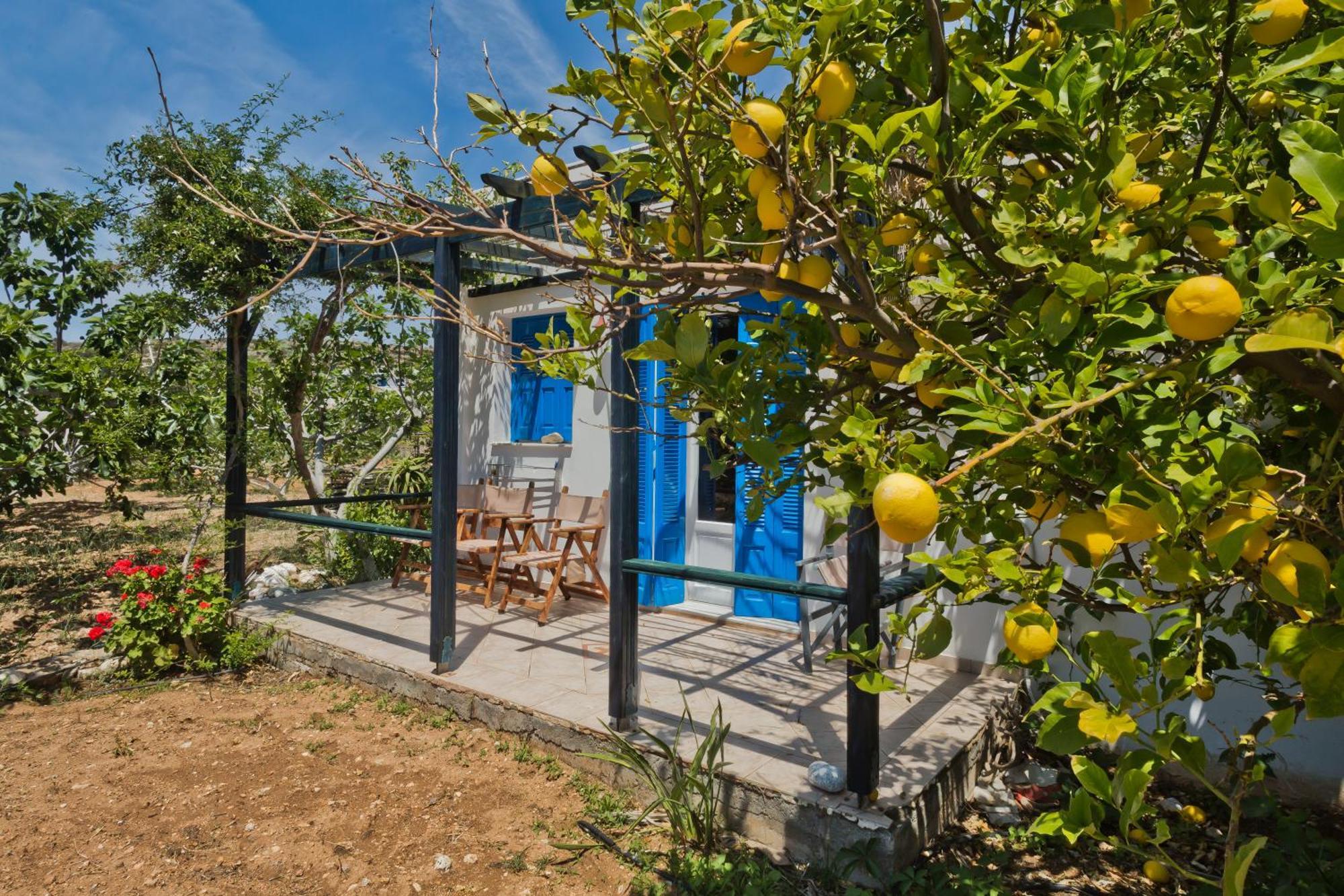 Pleiades Apartments Lefkos  Extérieur photo