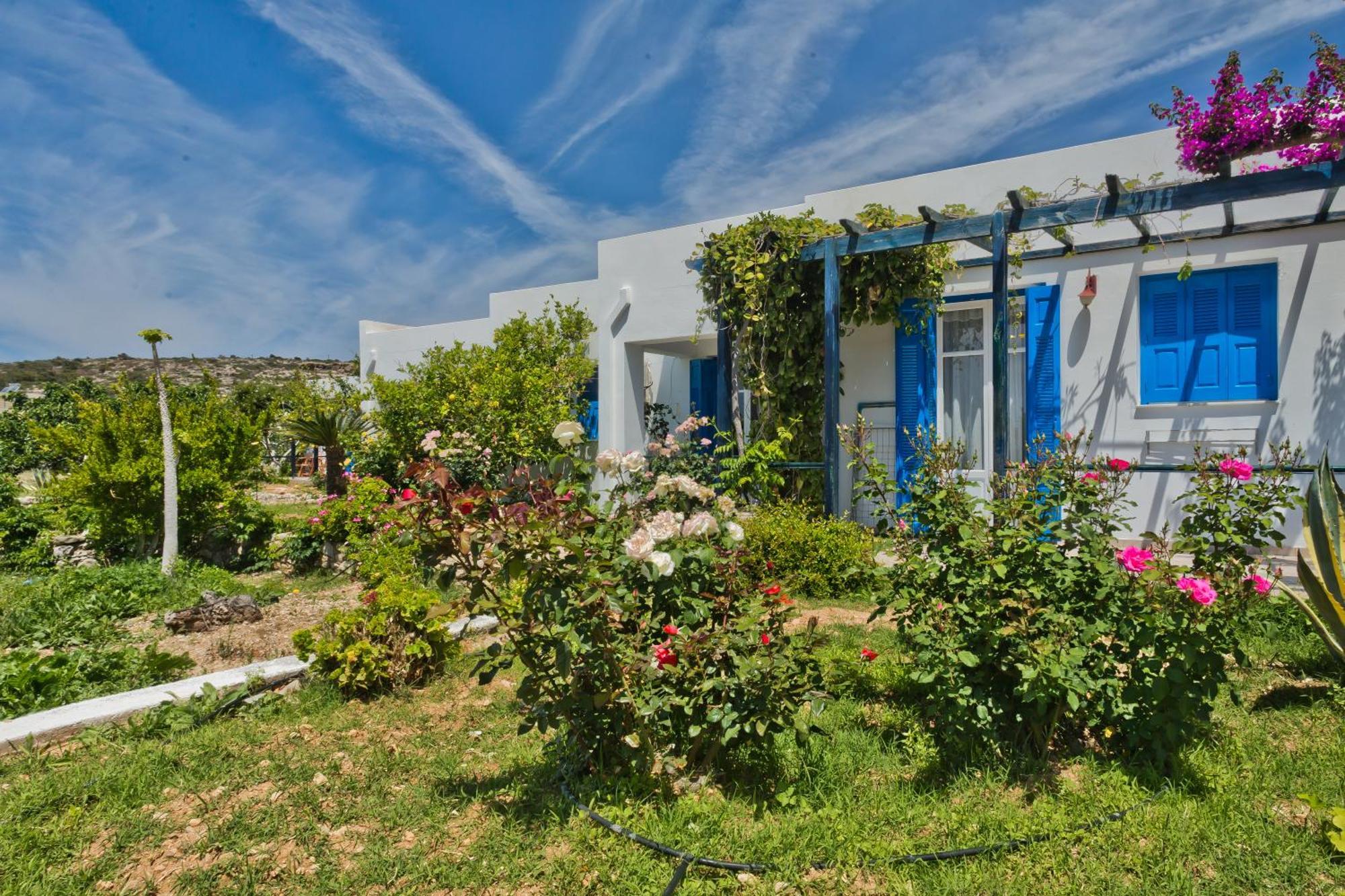 Pleiades Apartments Lefkos  Extérieur photo